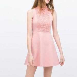 Zara High Neck Ruffle Lace Skater Dress Pink XS